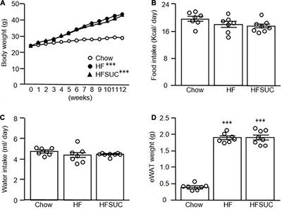 Sucralose, a Non-nutritive Artificial Sweetener Exacerbates High Fat Diet-Induced Hepatic Steatosis Through Taste Receptor Type 1 Member 3